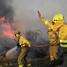  طرطوس تكرم/ 251 /من رجال الإطفاء لجهودهم في إخماد حرائق صيف 2022