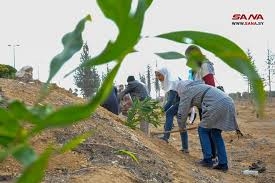 حملة التشجير مستمرة في ريف دمشق