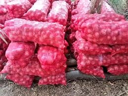 وصول الدفعة الأولى من البصل المستورد إلى ميناء طرطوس