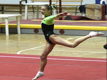 الزرقاوي علينا توسيع قادة الجمباز وتفعيل دور اللجان والكوادر