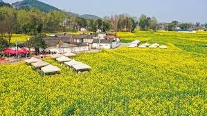 الصين تعيد هيكلة وزارة العلوم والتكنولوجيا في مسعاها للاعتماد على الذات في العلوم والتكنولوجيا