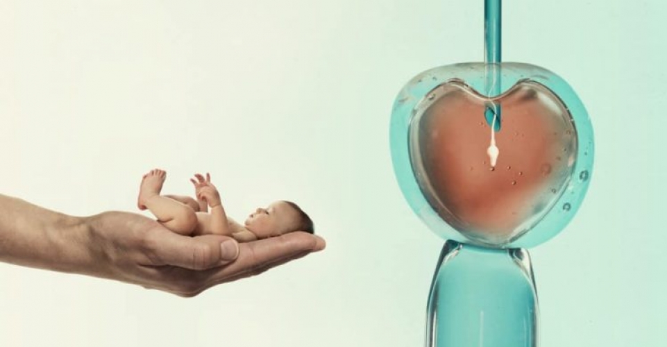 علماء يطورون تقنية تلقيح صناعي تسمح  باختيار جنس الطفل