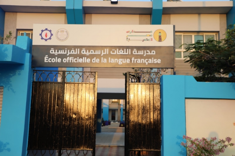 في مصر.. مدرسة فرنسية تعرض أفلاما ذات محتوى إباحي على أطفال بعمر أقل من 9 سنوات