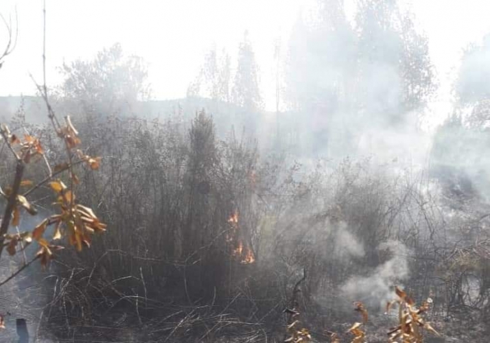 إطفاء اللاذقية يخمد حريقاً نشب جراء اعتداء إرهابي
