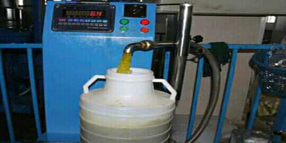 1300 طن إنتاج السويداء من زيت الزيتون