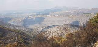 الزراعة تحدد موقع الاحتفال بعيد الشجرة المركزي لهذا العام