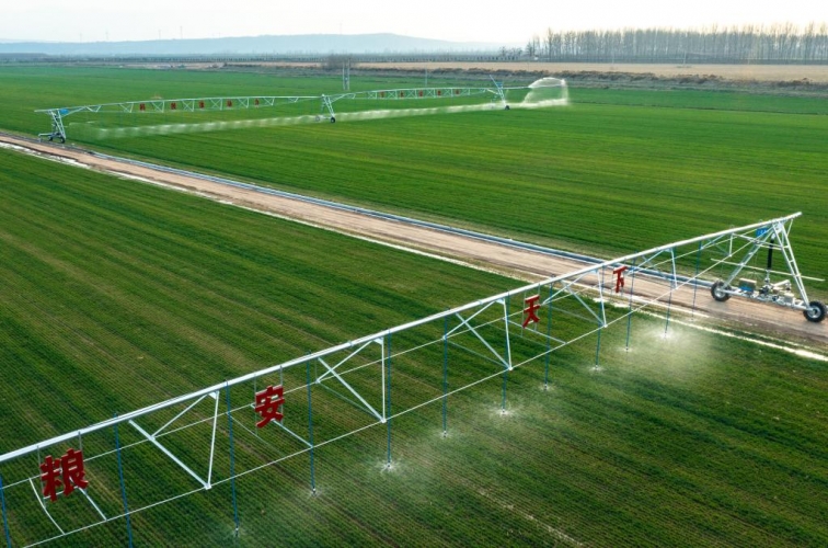 أكثر من نصف مليار طن.. الصين تسجل رقماً قياسياً بإنتاج الحبوب لعام 2023