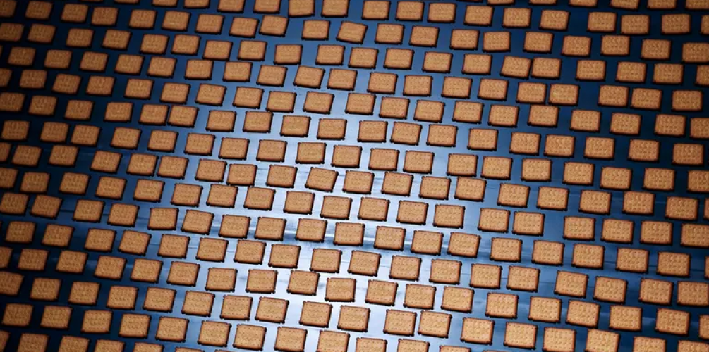 بريطانيا: سحب البسكويت والمقرمشات من الأسواق بسبب انتشار العثة