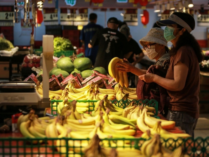 بسبب الموز.. الاكوادور تعيد النظر في قرار في قرار تسليم أسلحة روسية لواشنطن لنقلها لأوكرانيا