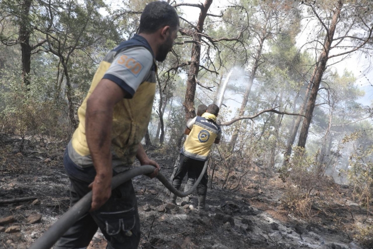 مدير الحراج:إخماد آخر بؤر الحرائق في ريف اللاذقية الشمالي