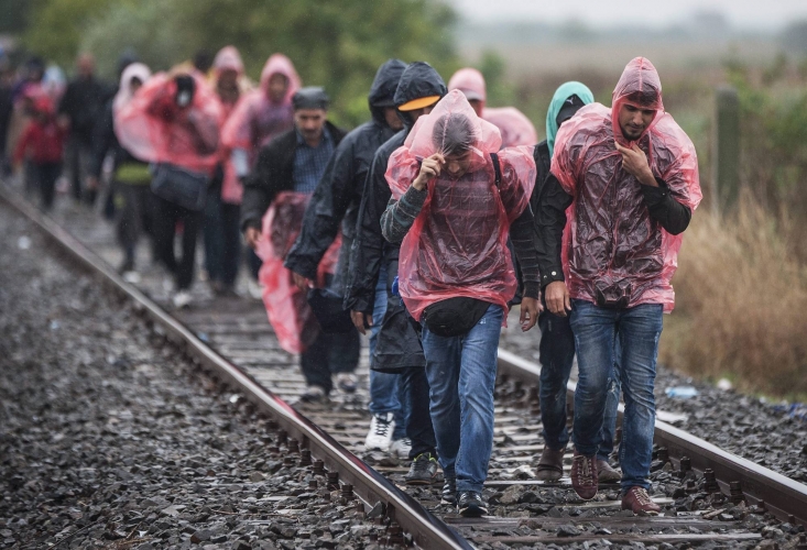 ألمانيا تعلن عن حملات لترحيل السوريين والأفغان بالتنسيق مع دمشق وكابل