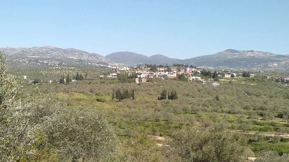 سطو مسلح في قرية بطارة بريف جبلة يثير قلق الأهالي