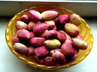 الفستق الحلبي غير المقشر رفيقك للحفاظ على وزن مثالي