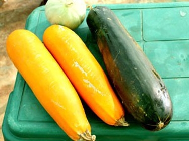 مزارع سوري ينتج خضراوات جديدة بألوان وأحجام مختلفة 