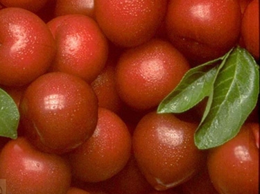 دراسة: الخوخ والبرقوق يساعدان في تقوية العظام