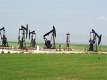 لون لاتاكيا الكندية تؤكد استمرار عملها في سورية  