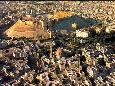 اختيار موقع العقيبة بحلب للاحتفال بالسنة الدولية للغابات  