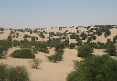 القبض على 5 أشخاص لإتلافهم محمية طبيعية عمرها 60 مليون سنه بالقاهرة