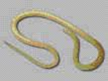 فك لغز استمرار الحياة لاجزاء الدودة بعد تقطيعها؟