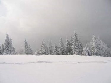 تزايد العواصف الثلجية بالعالم هذا العام هو مقدمة لتوقف تساقط الثلوج على الأرض