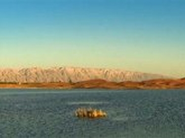 بحيرة تهدد البيئة الصحراوية في الإمارات