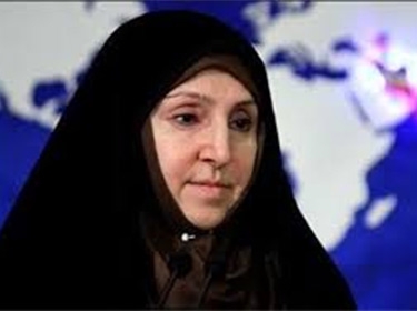 Tehran: Iranian modified initiative on Syria in phase of completion