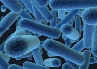 لأول مرة اكتشاف مركبات عضوية على مذنب