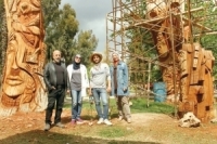 الأشجار .. معاندة الموت واختراع الحياة