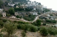 عش الشوحة تغفو بين جبلين في وادي النضارى