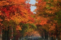  الشهرالماضي كان ثالث أكثر شهر تشرين الاول دفئاً منذ 1880