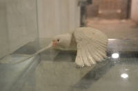 اختزال لآلام سنوات الحرب.. دمشق القديمة تحتضن معرض  