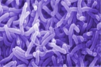 إسبانيا تسجل أول حالة إصابة بالكوليرا منذ العام 1979