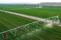 أكثر من نصف مليار طن.. الصين تسجل رقماً قياسياً بإنتاج الحبوب لعام 2023