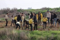 بمشاركة 115 متطوعاً حملة تشجير في منطقة الدوير بريف دمشق