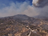 وزيرة الشؤون الاجتماعية: تقديم كل أشكال الدعم للمتضررين من حرائق اللاذقية