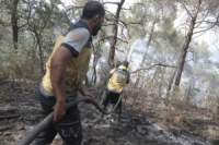 مدير الحراج:إخماد آخر بؤر الحرائق في ريف اللاذقية الشمالي